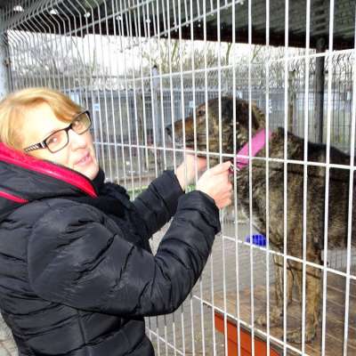 Pełna miska dla zwierzaka
