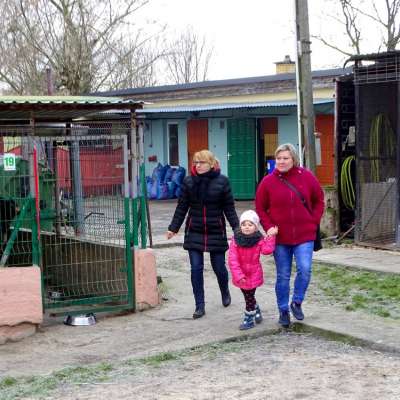 Pełna miska dla zwierzaka