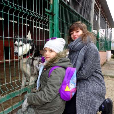 Pełna miska dla zwierzaka