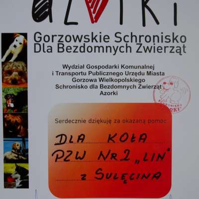 Pełna miska dla zwierzaka
