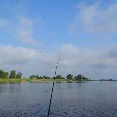 „Rybnie” w Słubicach