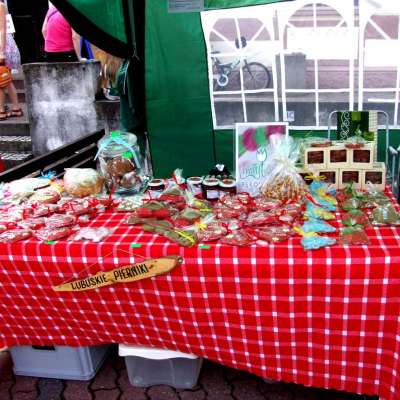 I Festiwal Michaliny Wisłockiej za nami