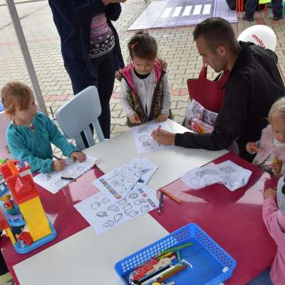 Po zdrowie i urodę z firmą Molex