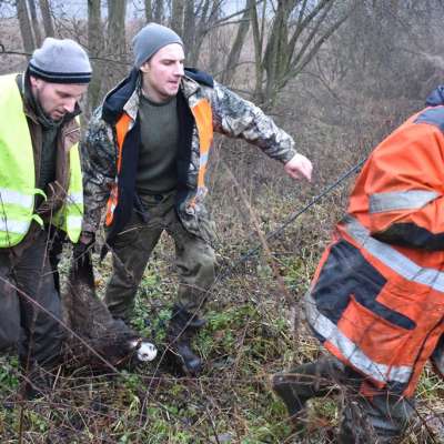 Wigilijne spotkanie w kniei