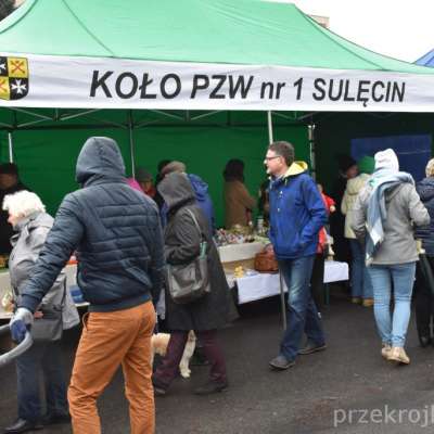 Sulęciński Jarmark Koguci